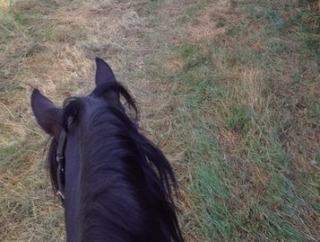Les sentiers du centre a Pont a Mousson